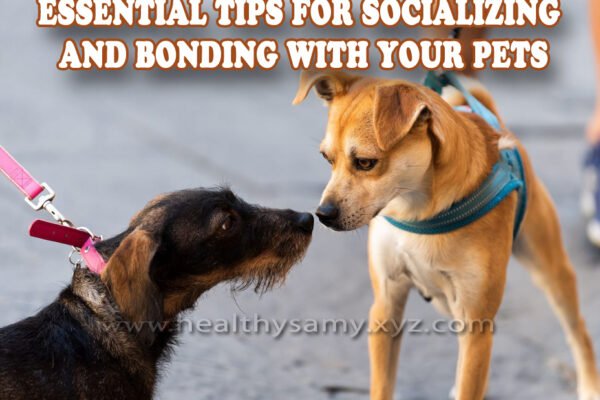 Essential Tips for Socializing and Bonding with Your Pets