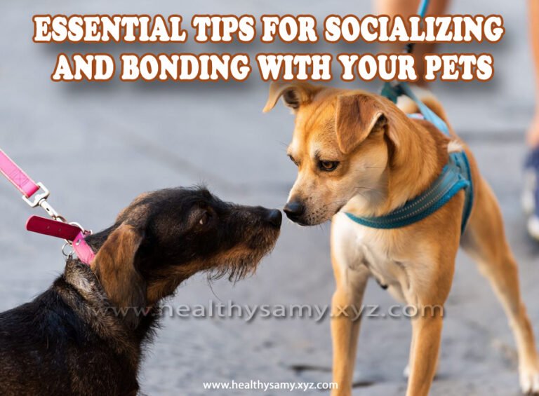 Essential Tips for Socializing and Bonding with Your Pets